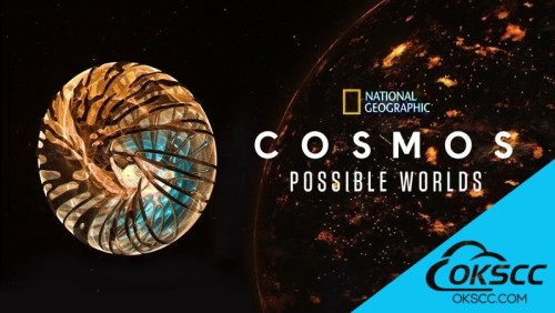 关于宇宙时空之旅：未知世界第1-2季 Cosmos: Possible Worlds的更多信息