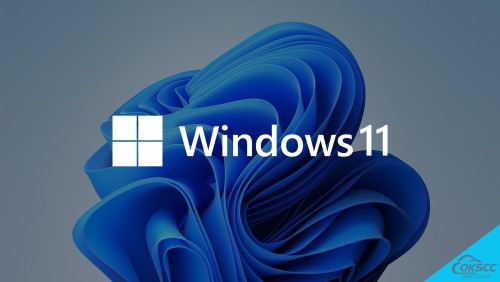 More information about "Windows 11 X64 21H2 Pro OEM"