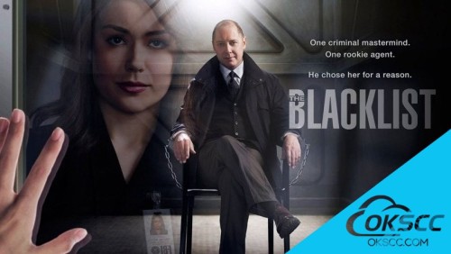 关于罪恶黑名单 第九季 The Blacklist Season 9 (2021)的更多信息