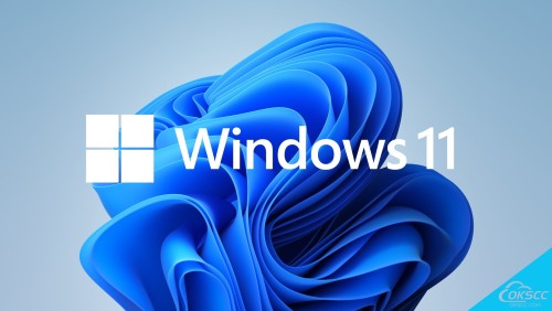 More information about "Windows 11 21H2/Office 2021 Pro Plus (x64) En-US 预激活"