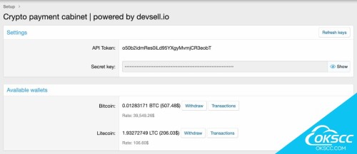 关于由 devsell.io 提供支持的加密支付的更多信息