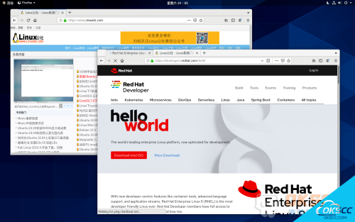 关于红帽企业 Linux (RHEL) 服务器 8.1的更多信息