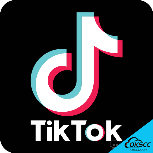 关于TikTok 国外抖音 热门 50 强 04-June-2021的更多信息