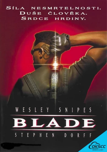 关于刀锋战士 Blade (1998)的更多信息
