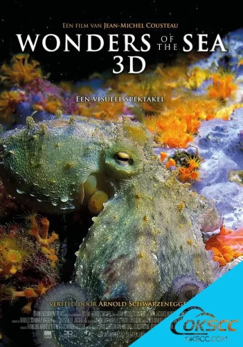 关于奇妙的海洋 Wonders of the Sea 3D (2017)的更多信息