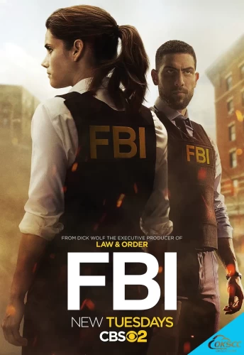 关于联邦调查局 第1-3季 FBI Season 1-3 (2018-2020)的更多信息