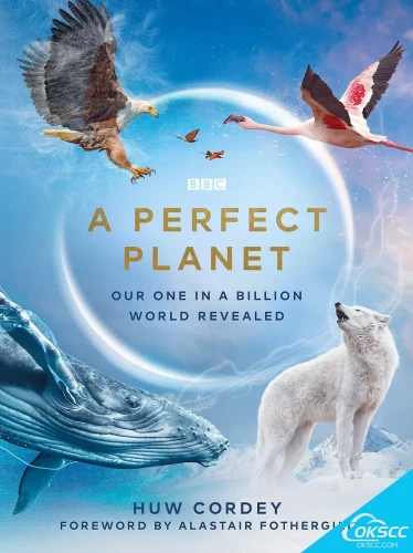 关于完美星球 A Perfect Planet (2021)的更多信息