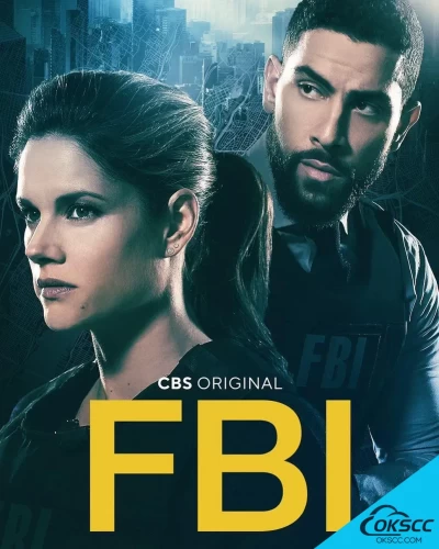 关于联邦调查局 第四季 FBI Season 4 (2021-2022)的更多信息