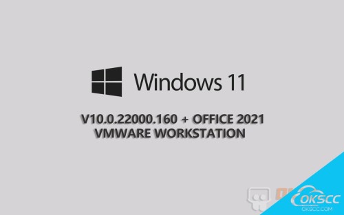 关于Windows 11 专业版 + Office 2021+VMware 工作站的更多信息