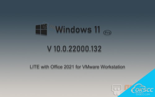关于Windows 11 专业精简版与Office 2021+VMware 工作站的更多信息