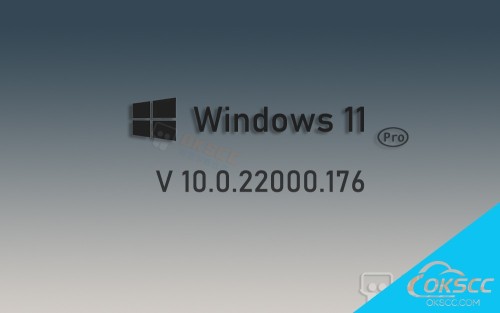 关于Windows 11 Pro 10.0.22000.176的更多信息