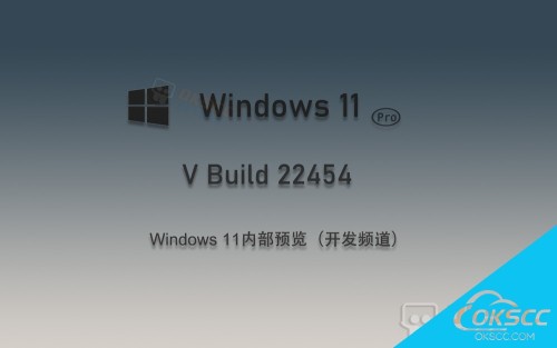 关于Windows 11 V 22454 内部预览 64位中文版的更多信息