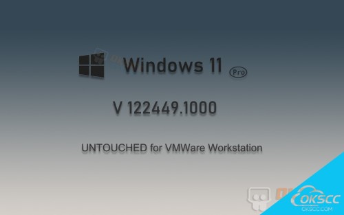 关于Windows 11 Pro 22449.1000的更多信息