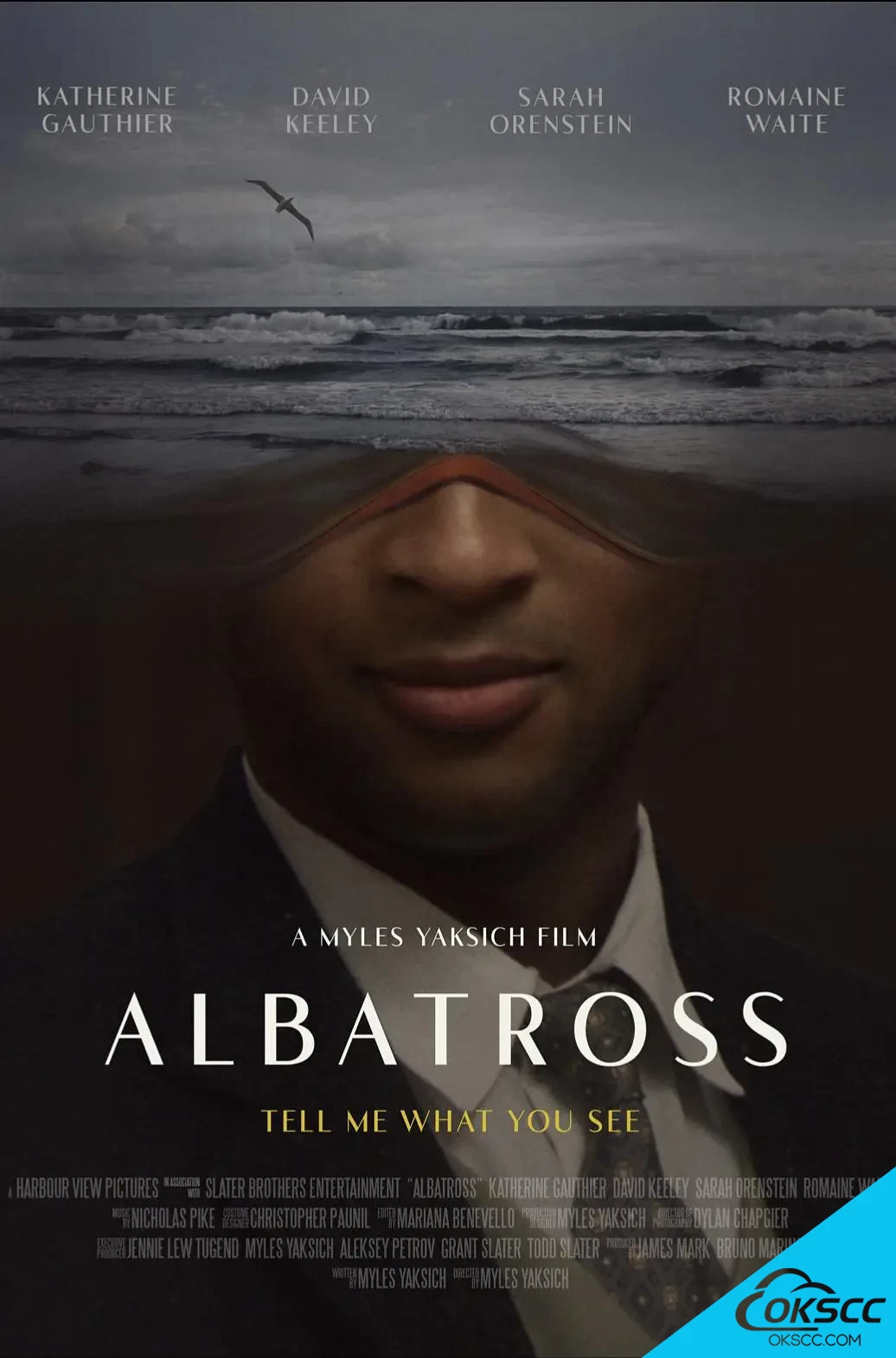 信天翁 Albatross (2022)