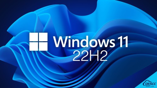 More information about "Windows 11 Pro Ultralight Serenity 22H2 精简 EU 预激活"