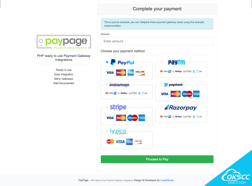 关于支付页面 - PHP 支付网关集成的更多信息