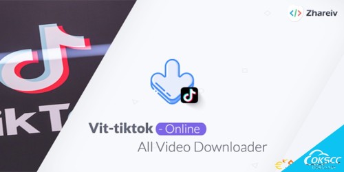 关于vit-TikToki - TikTok视频下载器的更多信息