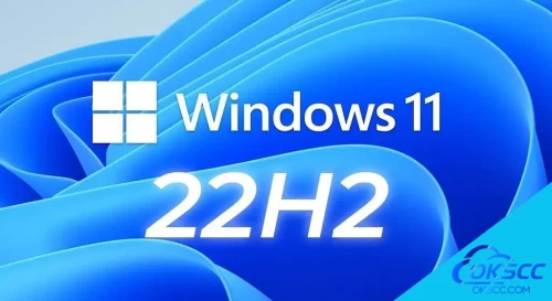 More information about "Windows 11 22H2 Pro 3in1 OEM"