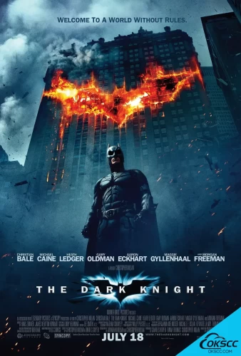 关于蝙蝠侠：黑暗骑士 The Dark Knight (2008)的更多信息