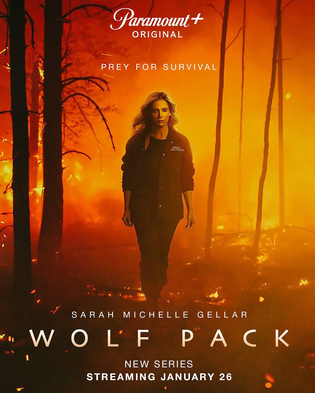狼群 Wolf Pack (2023)