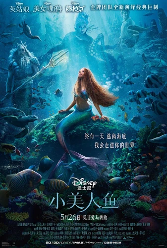More information about "小美人鱼 The Little Mermaid (2023)"