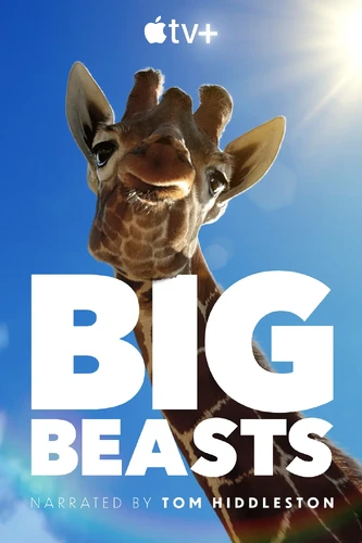 关于巨兽 Big Beasts (2023)的更多信息